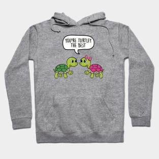 You're turtley the best Hoodie